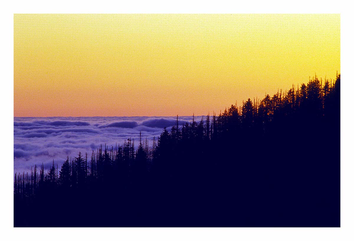 Smoky Mountains NP